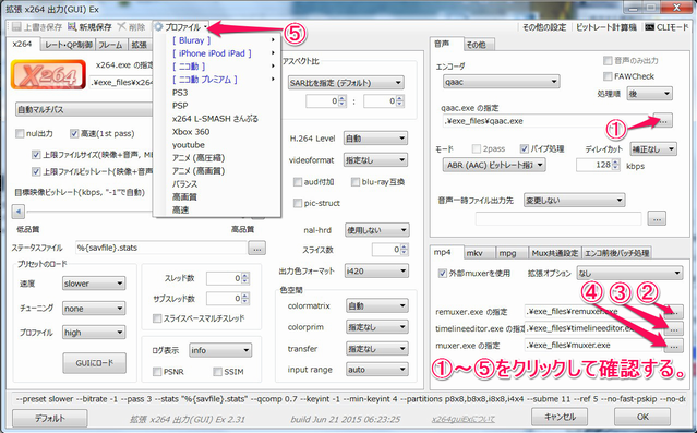 適切な Remuxerexe を用意しその場所を設定画面から正しく指定してください イメージ有名